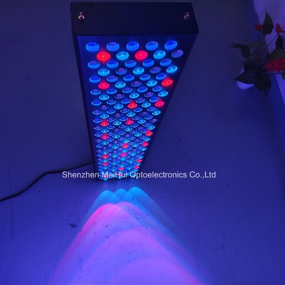 Купить NIR Light Red Light Skin Therapy Devices для домашнего использования 1000 Вт 9-цветной спектр онлайн изготовление