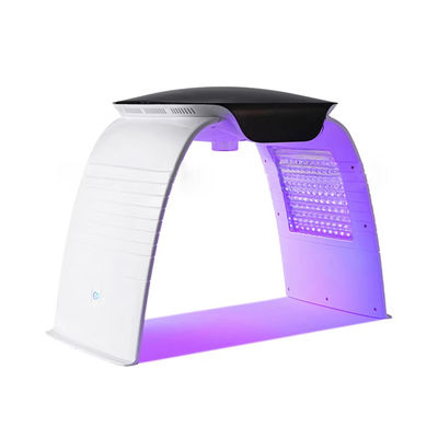 Купить Переносный 7-цветный светодиодный лицевой аппарат Pdt Led Light Therapy Nano Water Spray Phototherapy Beauty Machine с напряжением AC110-240V онлайн изготовление