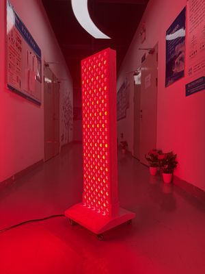 Купить High Power 2000W Red + Near Infrared Light Panel – OEM Factory with Pulse Mode & Brightness Control онлайн изготовление