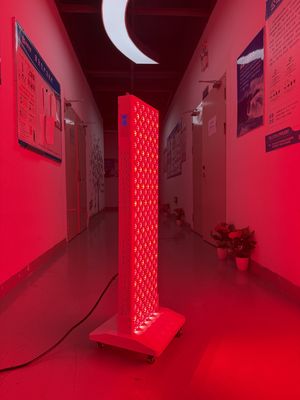 Купить OEM Factory Supply 2000W Red Light Therapy Panel – 630/660/810/830/850nm Wavelength Options онлайн изготовление