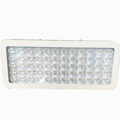 Купить красный свет 300W 850nm и близко терапия инфракрасного света для боли колена онлайн изготовление