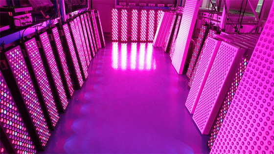 High Power 1000W Full Body Red Light Therapy Panel with 50Hz-60Hz Frequency Range and 60° Beam Angle