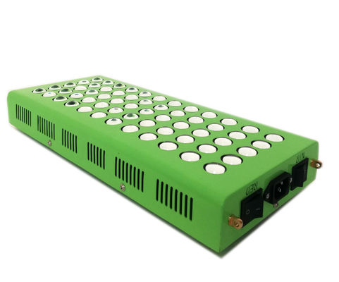 терапия инфракрасного света 300w 660nm 850nm анти- старея для боли колена