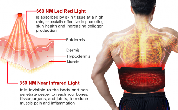 Пояс обруча пусковой площадки тела инфракрасного света машины терапией света СИД потери веса 850nm 0