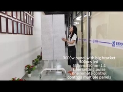 2 штуки 3000 Вт.