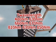 облегчение боли машины терапией красного света AC 660nm 850nm для личной пользы